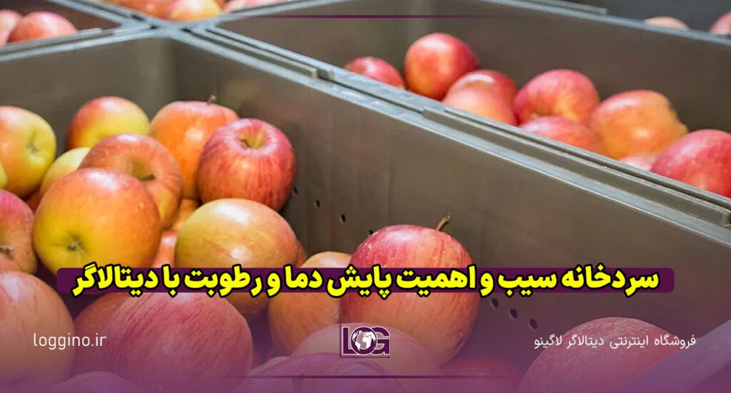 تصویری از تعدادی سیب قرمز در سردخانه سیب