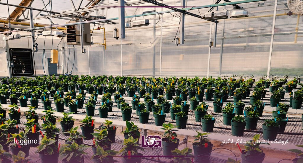 تصویری از یک گل خانه مدرن به همراه دیتالاگر گلخانه و فضای بسته