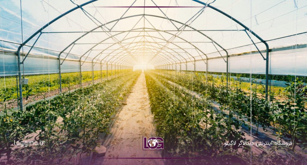 تصویری از یک گل خانه مدرن در یک فضای سبز باز به همراه دیتالاگر گلخانه و نور آفتاب