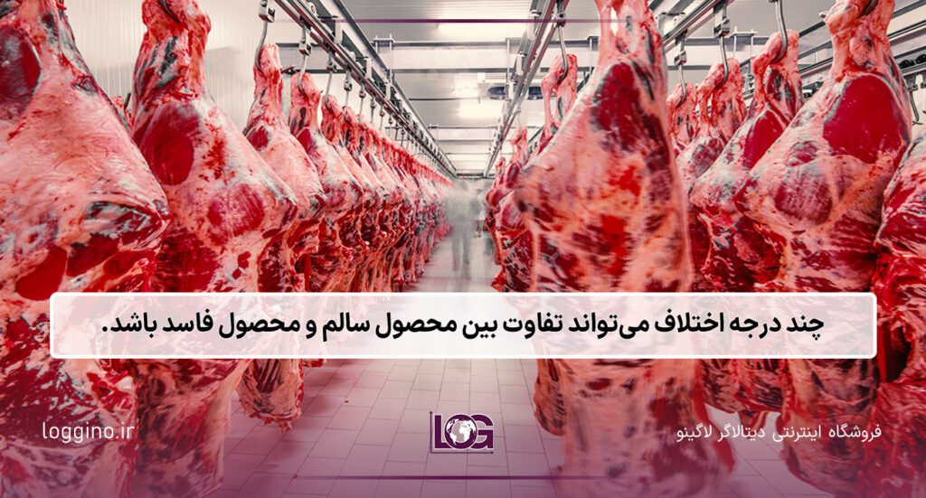 تصویری از سردخانه گوشت به همراه دیتالاگر سردخانه گوشت