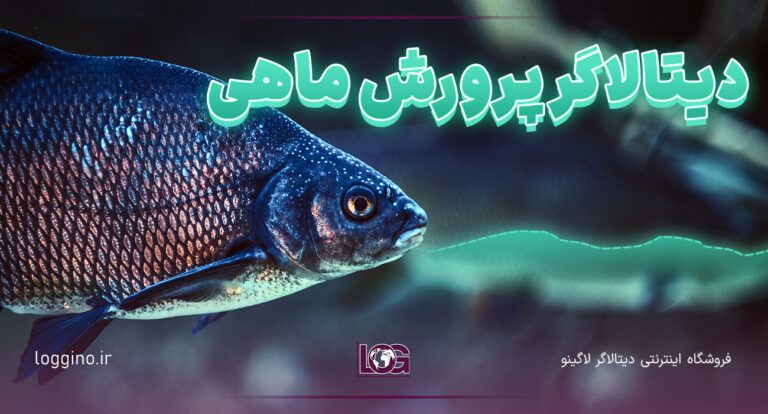 تصویری از یک ماهی سرد سیر