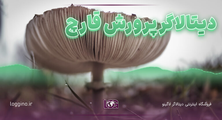 تصویری از یک قارچ در حال بیرون آمدن از خاک