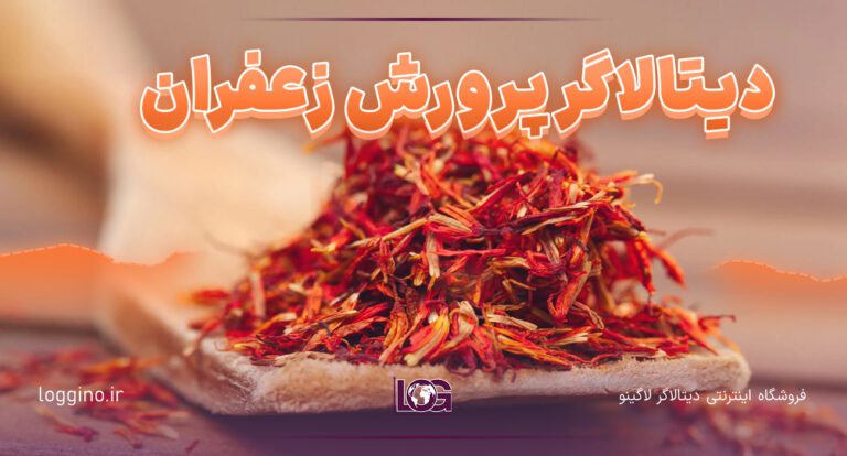 تصویری از زعفران چیده شده و خشک شده