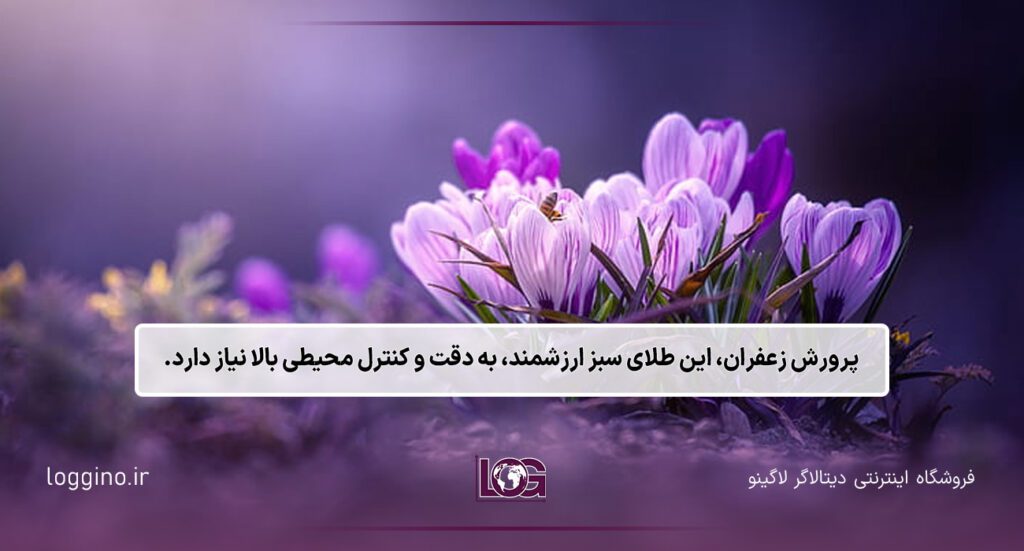 تصویری فانتزی از گیاه زعفران