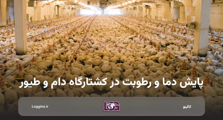 محیط دام و طیور